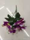 Simulate seven Phalaenopsis orchids Application Scenario